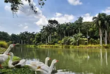Emprendedores podrán acceder a capital semilla: así será el ‘Encuentro Abierto’ de CEIBA durante la ‘Semana de la Biodiversidad’