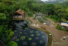 Emprendedores podrán acceder a capital semilla: así será el ‘Encuentro Abierto’ de CEIBA durante la ‘Semana de la Biodiversidad’