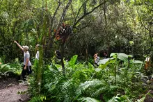 Emprendedores podrán acceder a capital semilla: así será el ‘Encuentro Abierto’ de CEIBA durante la ‘Semana de la Biodiversidad’