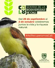Inicia en Cali la ‘Semana de la Biodiversidad’: conozca programación e  imperdibles de la jornada inaugural