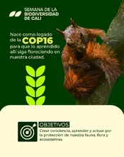 Inicia en Cali la ‘Semana de la Biodiversidad’: conozca programación e  imperdibles de la jornada inaugural