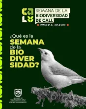 Inicia en Cali la ‘Semana de la Biodiversidad’: conozca programación e  imperdibles de la jornada inaugural