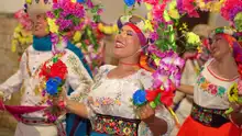 La alegría del Carnaval de Negros y Blancos se tomó el centro histórico de Cali en la Semana de la Biodiversidad 