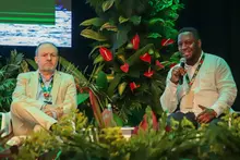 Chocó biogeográfico y la Amazonía: regiones que requieren miradas unificadas