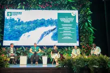 Chocó biogeográfico y la Amazonía: regiones que requieren miradas unificadas