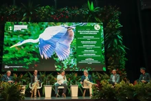 La naturaleza como aliada del desarrollo sostenible: la Semana de la Biodiversidad analiza soluciones basadas en los ecosistemas naturales