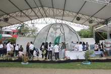 Cali da inicio a la Ciudadela Educativa en el marco de la Semana de la  Biodiversidad