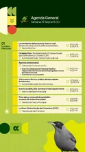 Cali continúa celebrando la biodiversidad con una jornada  imperdible este miércoles 1 de octubre