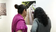 En La Tertulia, Cali vive la majestuosidad de las aves con la exposición  de los ‘Premios de fotografía Audubon 2025’