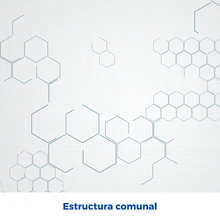 Estructura comunal