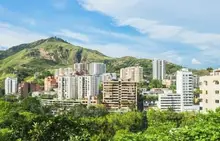 Conservar y proteger la biodiversidad, el objetivo del ‘Plan Maestro Ambiental’: ¡así recuperamos Cali!