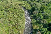 Conservar y proteger la biodiversidad, el objetivo del ‘Plan Maestro Ambiental’: ¡así recuperamos Cali!