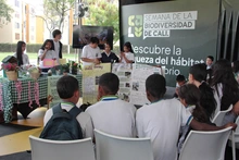Estudiantes de Cali presentaron rutas ecoturísticas de Cali y experiencias significativas en el cuidado de medio ambiente
