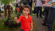 Un aula viva: el mariposario del DAGMA que inspira a estudiantes y familias en la Ciudadela Educativa de la Biodiversidad