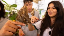 Un aula viva: el mariposario del DAGMA que inspira a estudiantes y familias en la Ciudadela Educativa de la Biodiversidad
