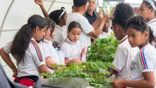 23 colegios de Cali lideran proyectos ambientales en la Semana de la Biodiversidad
