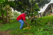 Comedores Comunitarios de Cali se visten de verde: aliados clave en la Semana de  la Biodiversidad y la Sostenibilidad Ambiental