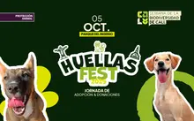 BANNER-WEB