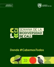 Cali celebra la biodiversidad en la Ciclovida el domingo 5 de octubre