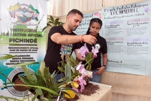 Proyecto pedagógico productivo de orquídeas se roba el show por su creatividad 