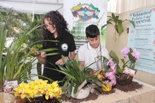 Proyecto pedagógico productivo de orquídeas se roba el show por su creatividad 