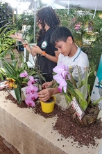Proyecto pedagógico productivo de orquídeas se roba el show por su creatividad 
