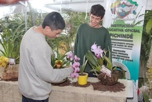 Proyecto pedagógico productivo de orquídeas se roba el show por su creatividad 