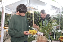 Proyecto pedagógico productivo de orquídeas se roba el show por su creatividad 