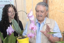 Proyecto pedagógico productivo de orquídeas se roba el show por su creatividad 