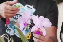 Proyecto pedagógico productivo de orquídeas se roba el show por su creatividad 