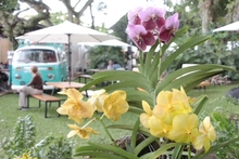 Proyecto pedagógico productivo de orquídeas se roba el show por su creatividad 