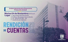 Invitación a la rendición de cuentas
