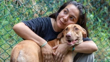 ‘Esperanza’: la perrita que sobrevivió al abandono y hoy solo quiere un  hogar donde la amen