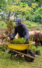 27 mil plántulas en 120 jardines fortalecen la conectividad ecológica del  río Cali