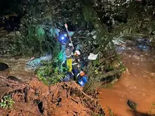 Alcaldía retiró gigantesco árbol que se volcó sobre el río Cali para evitar emergencia en el oeste de la ciudad