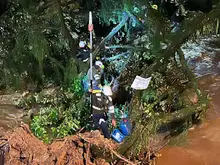 Alcaldía retiró gigantesco árbol que se volcó sobre el río Cali para evitar emergencia en el oeste de la ciudad