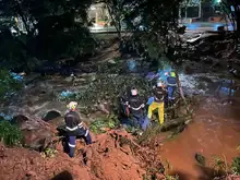 Alcaldía retiró gigantesco árbol que se volcó sobre el río Cali para evitar emergencia en el oeste de la ciudad