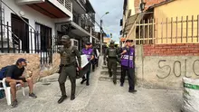 Laika, Chocolate y Negrita: tres vidas rescatadas nos recuerdan que recuperar a Cali también es proteger a quienes no tienen voz