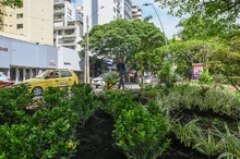 120 jardines embellecen las riberas del río Cali
