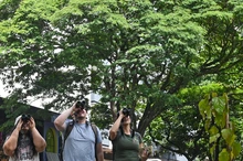 120 jardines embellecen las riberas del río Cali
