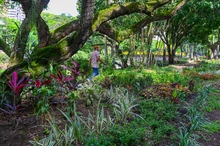 120 jardines embellecen las riberas del río Cali