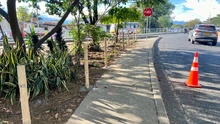 Cali recupera espacios públicos con acciones ciudadanas en Brisas del Limonar