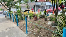 Cali recupera espacios públicos con acciones ciudadanas en Brisas del Limonar