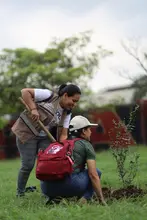 Traslado de árboles en la calle 25 se realizará de forma concertada con la comunidad