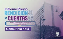 Informe Previo Rendición de Cuentas 2025 