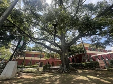 Alcaldía de Cali celebra los 202 de Santa Librada publicando la  licitación para reforzar los bloques A y H