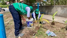 Promotores ‘Mi Cali Bella’ recuperan espacio público en el barrio Salomia