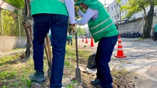 Promotores ‘Mi Cali Bella’ recuperan espacio público en el barrio Salomia