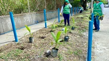 Promotores ‘Mi Cali Bella’ recuperan espacio público en el barrio Salomia
