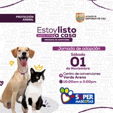 Jornada de Adopción sabado 01-nov-2025 - Centro de convenciones Verde Arena 